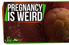 alien pregnancy inside growing