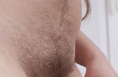 hairy bushes hirsute