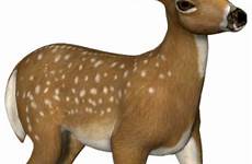 deer clipart 3d animal biche clip gazelle roe transparent background animals small freeiconspng cliparting clipground yopriceville icons