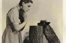 judy garland toto terry 1939 dorothy publicity terrier cairn