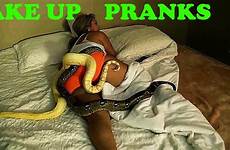 pranks wake