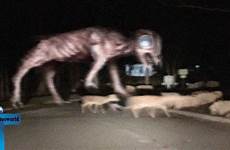 unexplained cctv cameras paranormal bigfoot creatures sightings amazing mysterious unbelievable phenomena