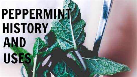 Peppermint history