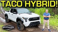 2024 Toyota Tacoma: Reinventing the mid size truck King!