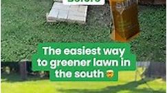 Lawn Care Customized for Southern Lawns