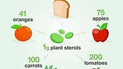 Plant sterols block the absorption... - MARIGOLD HL Milk SG