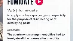 Our #WordOfTheWeek is Fumigate! 💨 | EduAdvisor