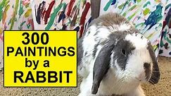 300 paintings made by a rabbit!