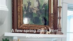 A few spring items from Amazon. #rabbit #spring #springdecor #springdecorating #springideas #HomeDecor #kitchendecorideas #AXERatioChallenge # Follow for more... | J 26 Day