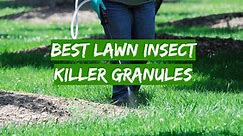 Top 5 Best Lawn Insect Killer Granules [May 2024 Review] - Grass Killer