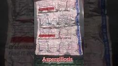 Fungi-IT 200, Itraconazole capsule BP 200 mg, Antifungal Medicine