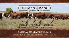 Hoffman Ranch 2023 Fall Bull Sale