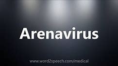 Arenavirus - Medical Meaning