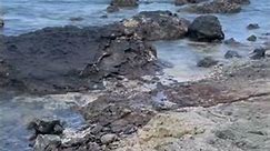 Volcanic rocks Hawaii