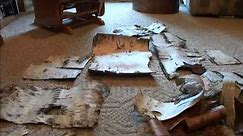 Birch Bark for crafting re-purposing picture frames.