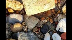 We found a lovely Vulcanite Bottle Stopper today...H.C&W.SWEETMAN RYDE #beachcombing #bottlestopper #vulcanite #beachfinds #isleofwight | Washed Ashore IW