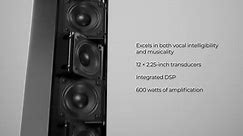 Bose Professional MSA12X Loudspeaker