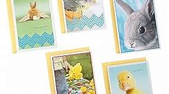 Hallmark Easter Cards Assortment, Cute Bunnies, Duck, Easter Basket Flowers (5 Cards with Envelopes) (1299EMU9072)