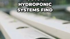 Oxygenate Your Hydroponic System with Air Pumps and Air Stones