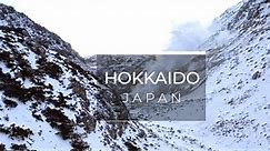Hokkaido Travel Guide: Japan's Wild North