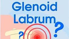 Key Role of Glenoid Labrum #physicaltherapy #physiotherapy #shoulder