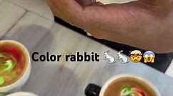 Color rabbit art 😱#viral #explore #youtubeshorts #latte #coffee #rabbit