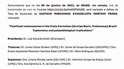 Fossilized melanosomes in the Crato Formation (Araripe Basin, Cretaceous), Brazil: Taphonomy and palaeobiological implications - Instituto de Geociências