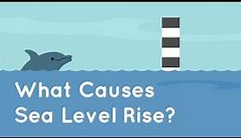 What Causes Sea Level Rise?