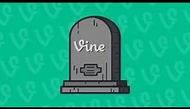 The Vine Complete Compilation
