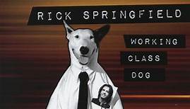 Rick Springfield - Working Class Dog (40th Anniversary Special Live Edition)