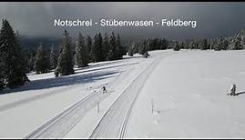 Notschrei Loipenportrait - Skilanglauf vom Notschrei - Stübenwasen - Feldberg
