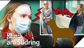Tierischer Ärger! Vermisster Hund löst Familienstreit aus | Klinik am Südring | SAT.1