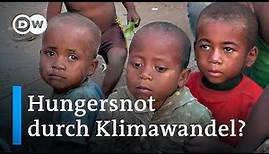 Hungerkrise in Madagaskar: Wer ist schuld? | DW Reporter
