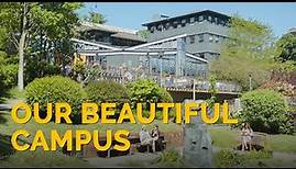 Our beautiful campus – University of Winchester
