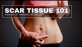 Scar Tissue 101 | How Scar Tissue Impacts the Body