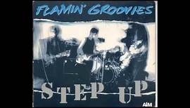 Flamin' Groovies - Step Up