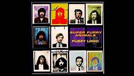 Super Furry Animals - Hangin' With Howard Marks