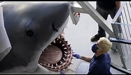 Original Film-Modell: „Der weiße Hai“ kommt ins Oscar-Museum