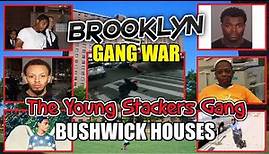 Brooklyn Gang War - A Young Stackers Gang Story - Bushwick Houses