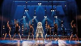Tina - Das Tina Turner Musical | Musical in Stuttgart | Stage Apollo Theater | Tickets, Karten und Gutscheine
