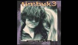 Timbuk 3 ‎– Looks Like Dark To Me (1994)