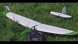 Modell AVIATOR: Libelle von Dreamflight/Hempel Modellflugwelt im Test