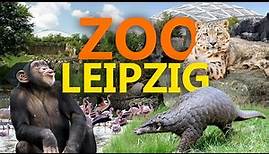 Zoo Leipzig - Der beste Zoo Deutschlands? | Zoo-Eindruck