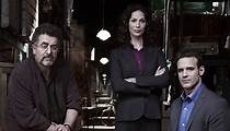 Warehouse 13 Season 1 - watch full episodes streaming online