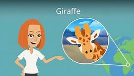 Giraffe • Steckbrief, Merkmale, Besonderheiten