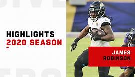 James Robinson highlights | 2020 season