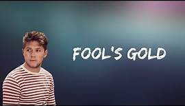 Niall Horan - Fool's Gold (Lyrics)