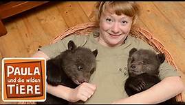 Bärengeschwister #1 | Erste Begegnung | Paula und die wilden Tiere