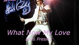 What Now My Love ♥ Elvis Presley ~ Lyrics