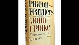 Plot summary, “Pigeon Feathers and Other Stories” by John Updike in 5 Minutes - Book Review